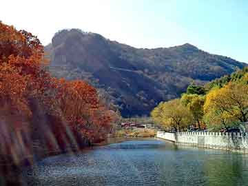 正新澳门二四六天天彩，松下冰箱召回型号